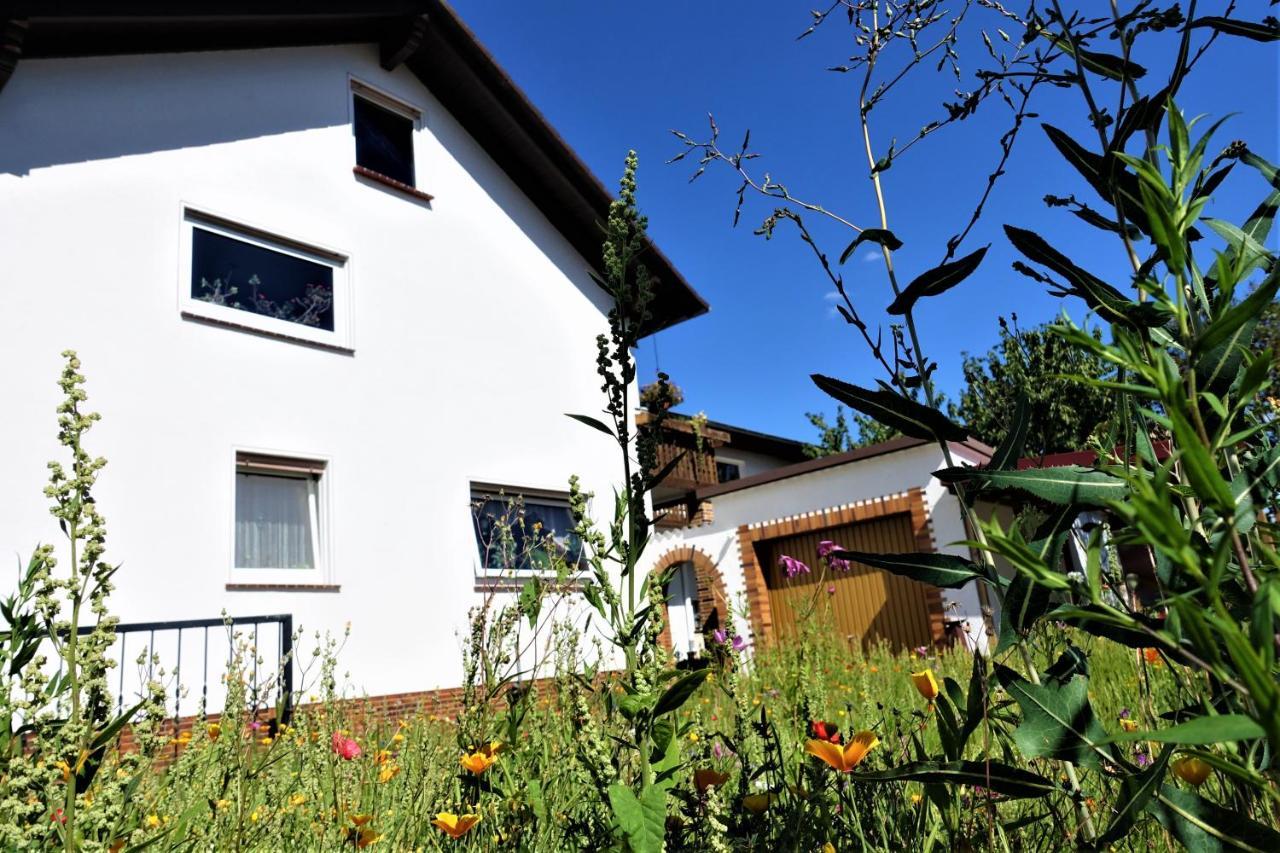 Ferienwohnung-M8 Im Schoenen Werratal Jestadt Экстерьер фото